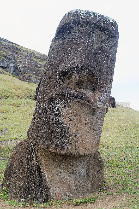 在死火山拉诺拉库山坡上的摩埃石像