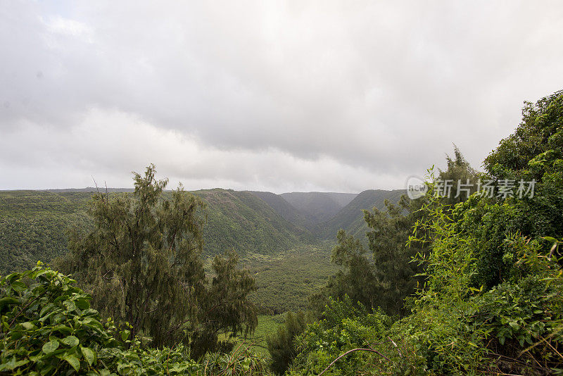 在夏威夷的风景