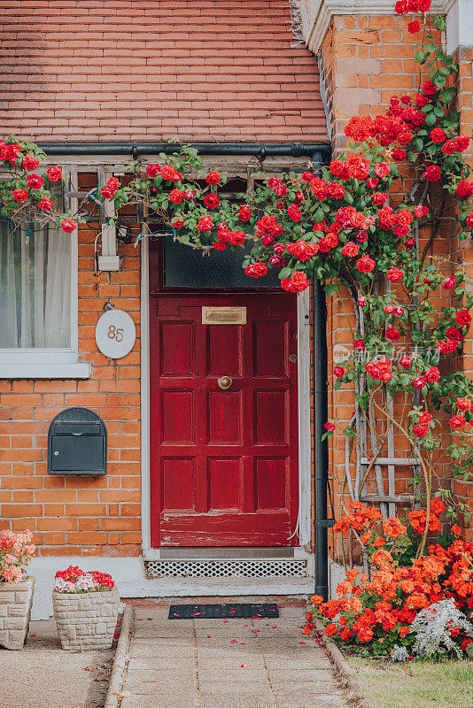 伦敦恩菲尔德帕尔默斯格林的一幢房子的正面，前门周围长着红玫瑰。