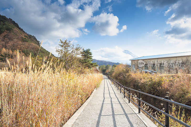 日本京都周边的乡村。