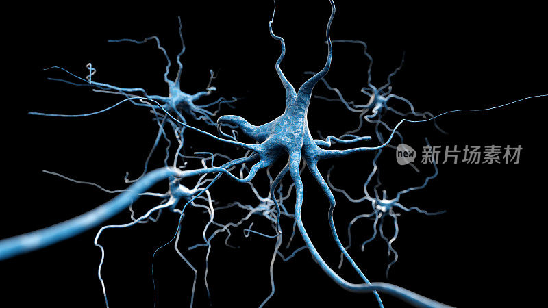 神经元细胞近景