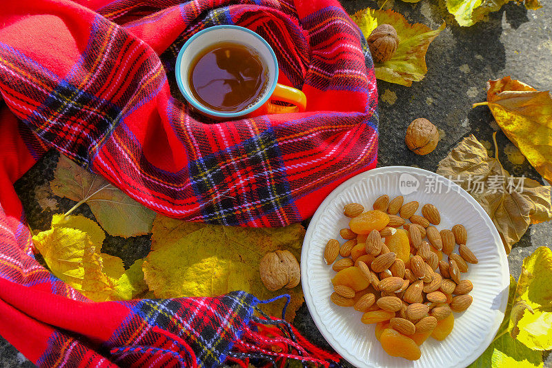 橘子杯热茶覆盖红色格子围巾横跨秋天的森林，坚果，苹果，黄叶，杏仁和干果盘子。前视图。秋天的静物画。背景。本空间