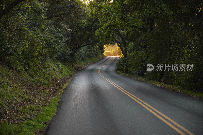 乡间小路