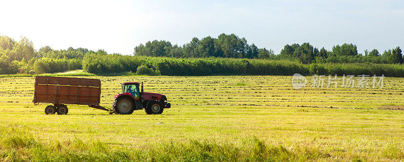 带拖车的拖拉机在田间用于农业工作的拖拉机。干草,草原。总体规划,全景。副本的空间。