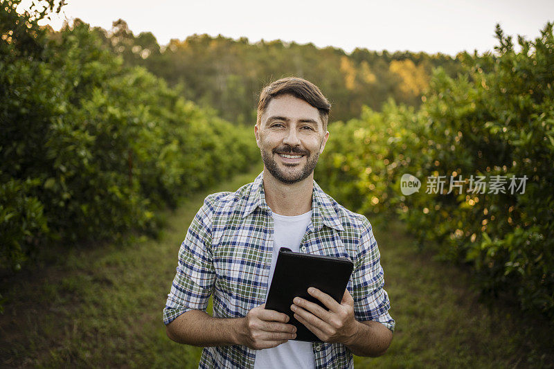 橘子种植园的农业技术人员的肖像与平板