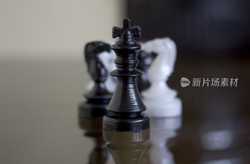 极端近距离微距拍摄的一个黑棋王站在一个黑色和白色的马一块图标