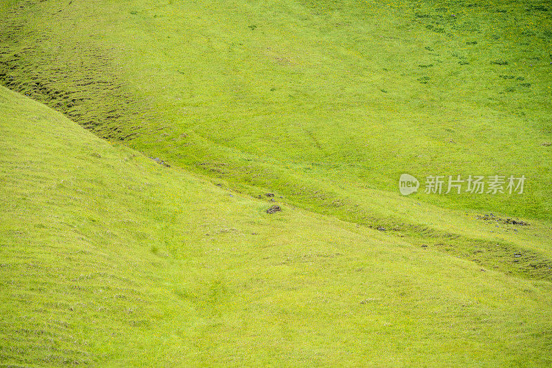 绿草覆盖在冰岛雷尼斯菲加拉黑沙滩上的大山丘上。