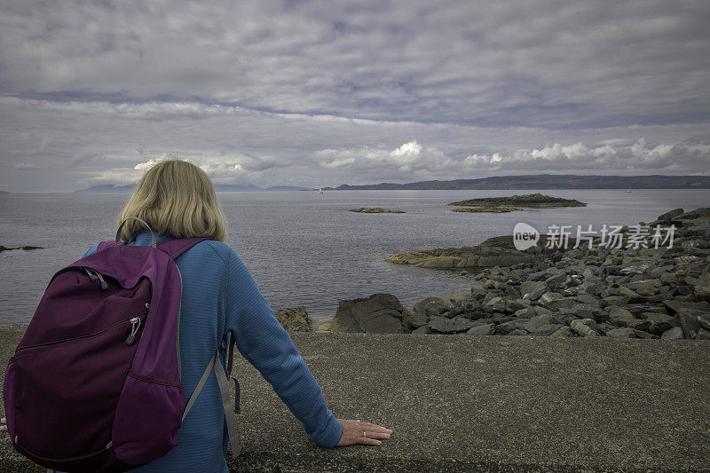 在苏格兰的马莱格海滩上，一只成年雌性凝视着水面的后视镜。