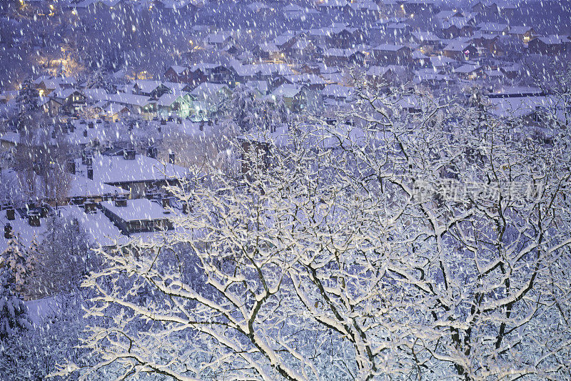 暴雪