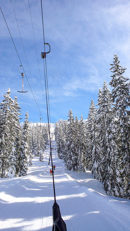 滑雪拖吊轨道通过雪原森林