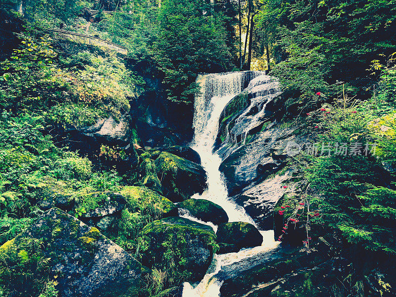 德国黑森林的瀑布。