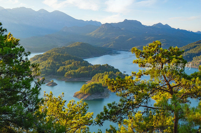 松树与湖和山