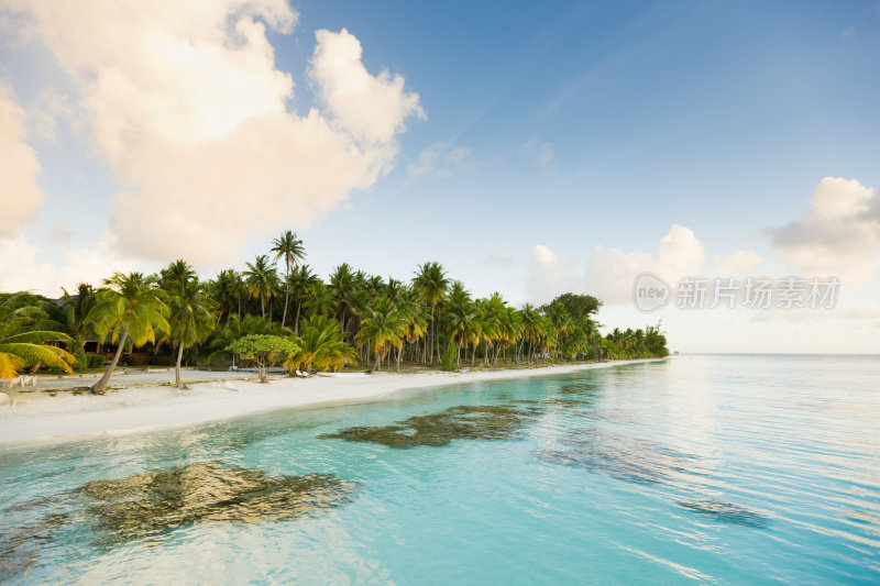 梦想海滩白沙和棕榈树法卡拉瓦法属波利尼西亚