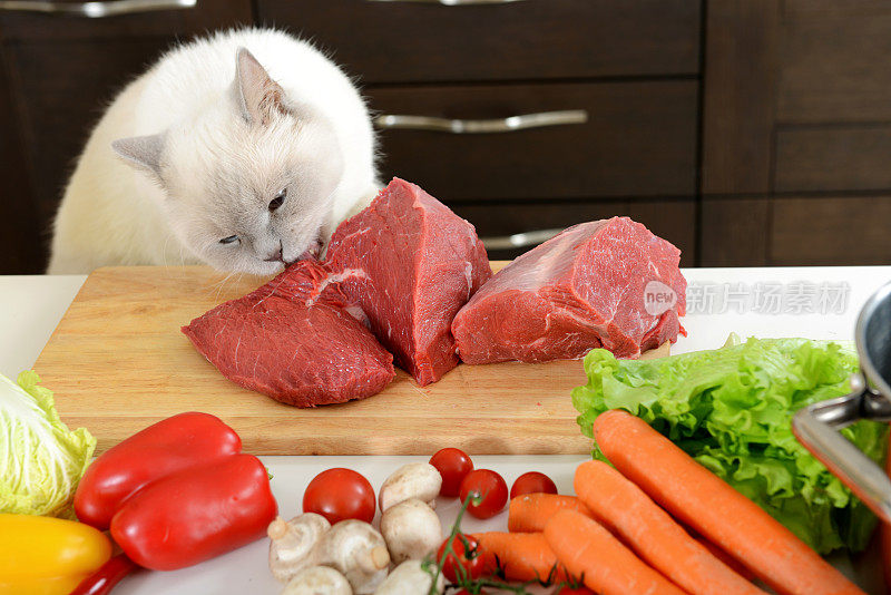 猫偷肉