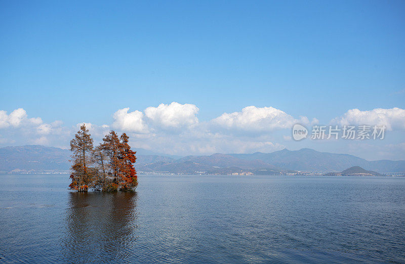 树木浸没在洱海