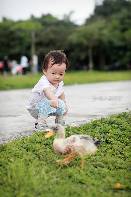 小男孩和鸭子