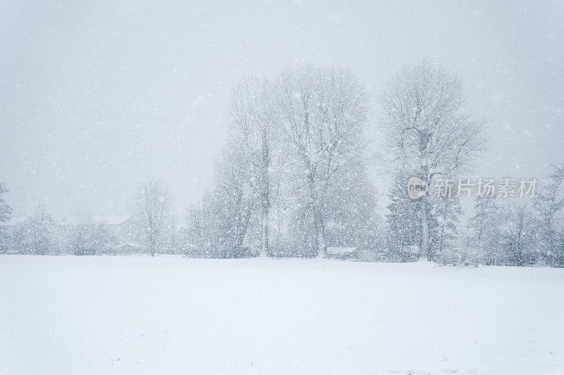 降雪