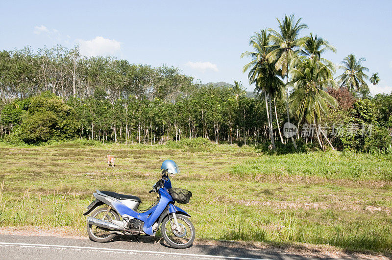 热带风景中的摩托车