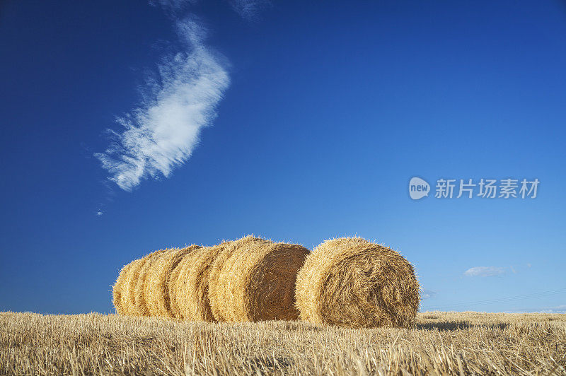 意大利托斯卡纳，蓝天下的一捆捆干草