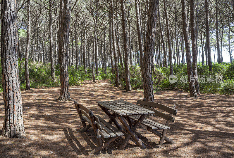 地中海松木中的桌子和长椅