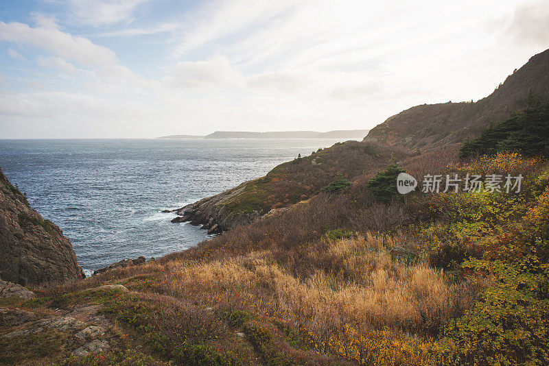 风景优美的纽芬兰视图