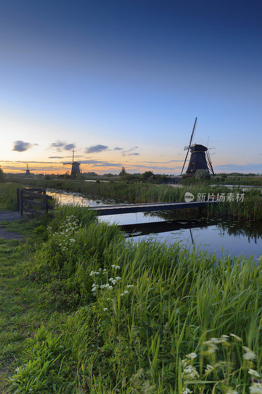 在肯德代克，传统的荷兰风车排成一排
