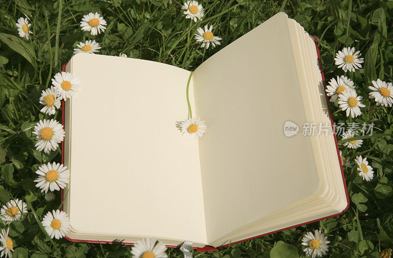 雏菊里的空白笔记本