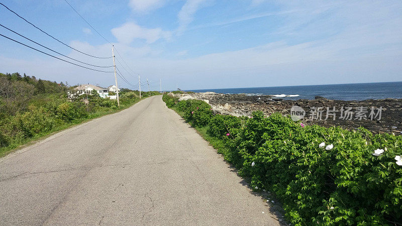 夏天缅因州山峰岛的宁静岛周边路