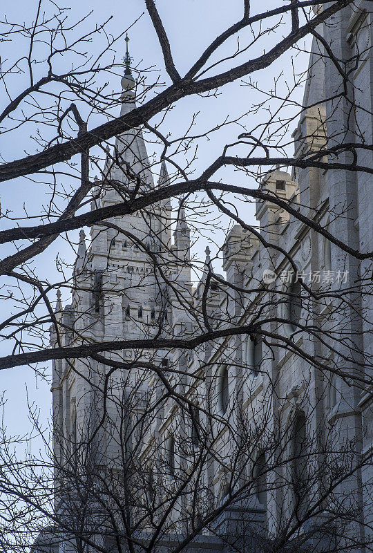 摩门寺和树枝，盐湖城