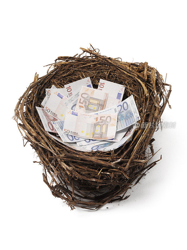 鸟巢里的欧元钞票