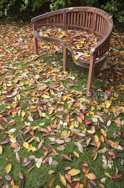 秋天铺满栗叶的花园长凳。