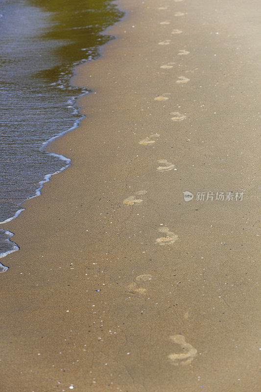 沙滩上的脚印。