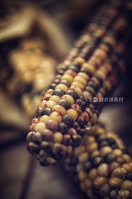 秋季装饰与干燥的燧石玉米