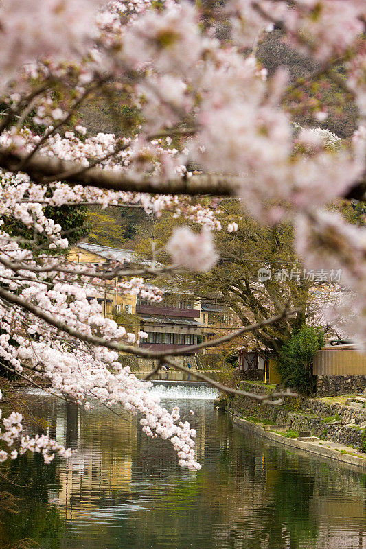 日本京都的岚山公园