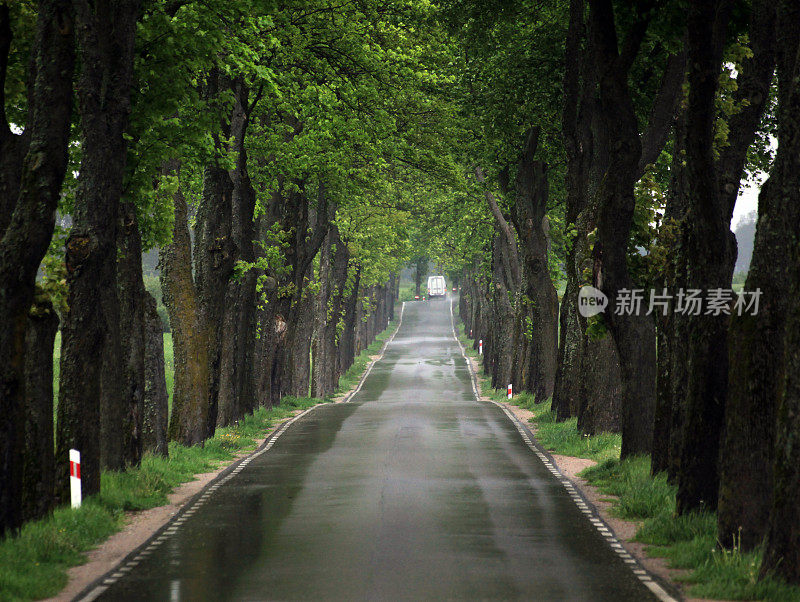 下雨天，汽车行驶在树木环绕的道路上