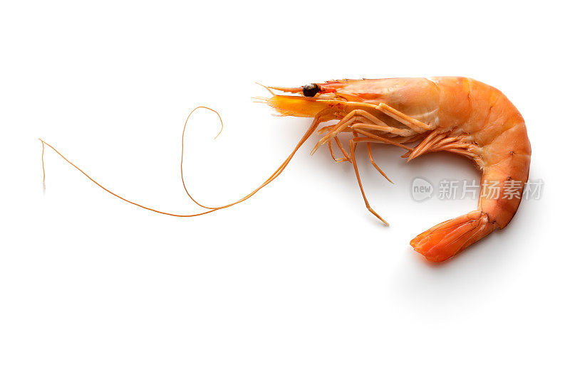 海鲜:虾孤立在白色背景
