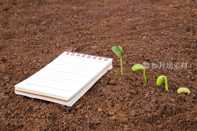 生长日记和历史:土壤中的植物序列