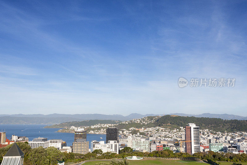 惠灵顿的城市景观，新西兰