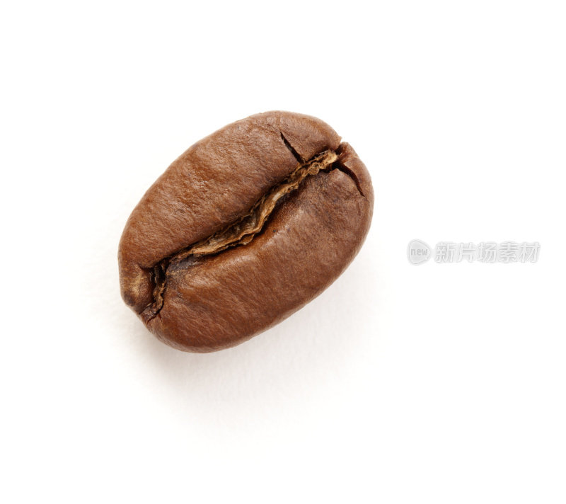 单一的咖啡豆