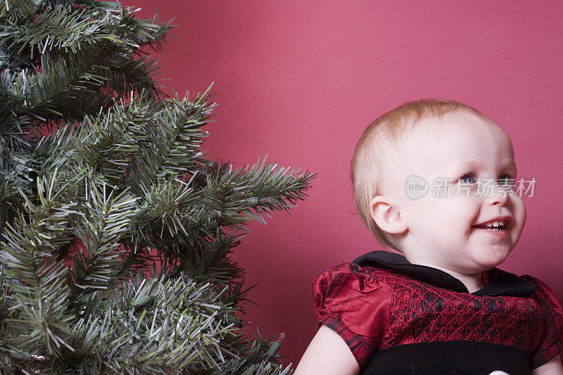 快乐的幼童与圣诞树