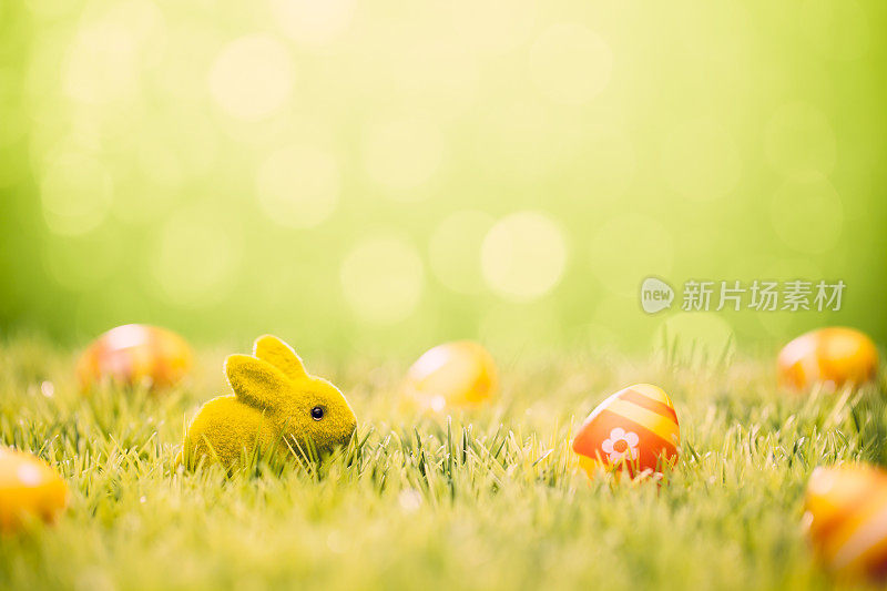 复活节彩蛋和兔子-绿草散焦散焦背景