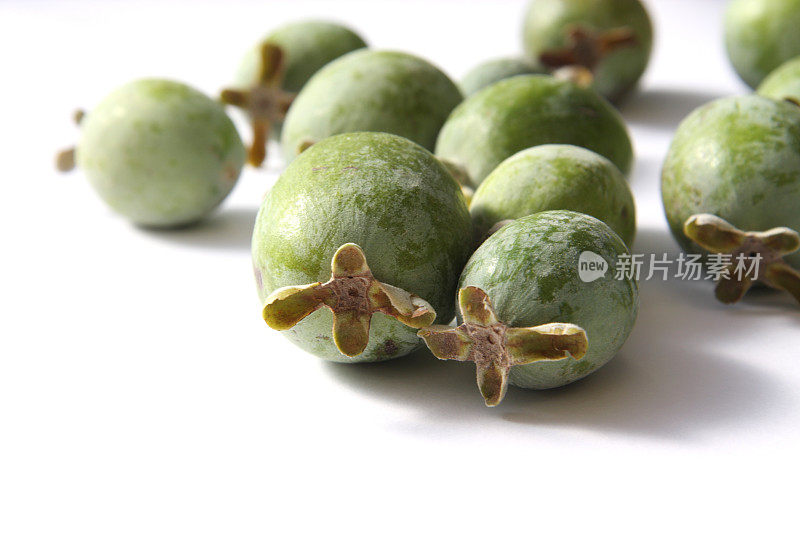 Feijoa水果或番石榴