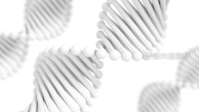 简化的DNA螺旋