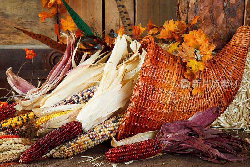 秋天与观赏玉米聚宝盆