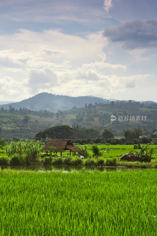 泰国北部风景