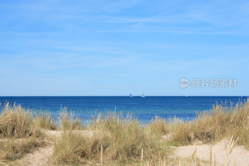 夏天的海滩和沙丘