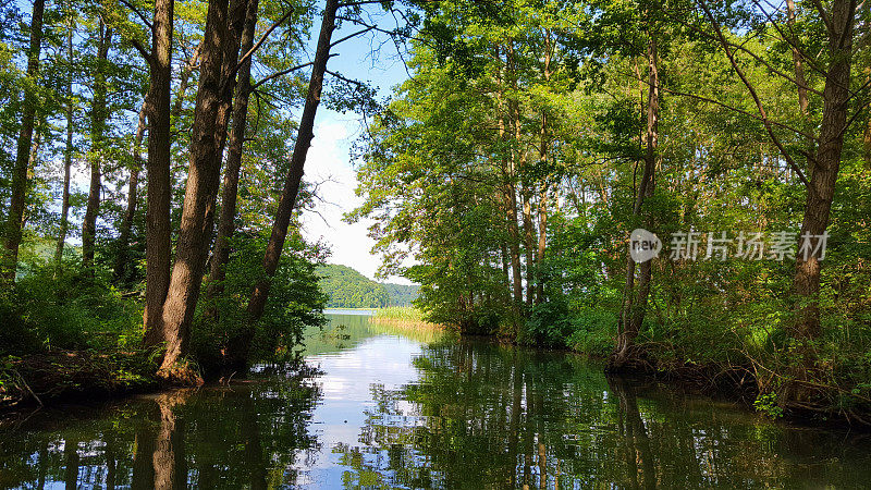 景观-从小溪到湖泊槽森林和高树
