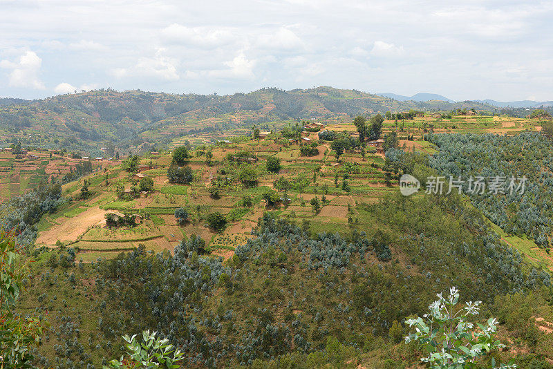 基贝霍和布塔雷(胡耶)之间的农村-卢旺达