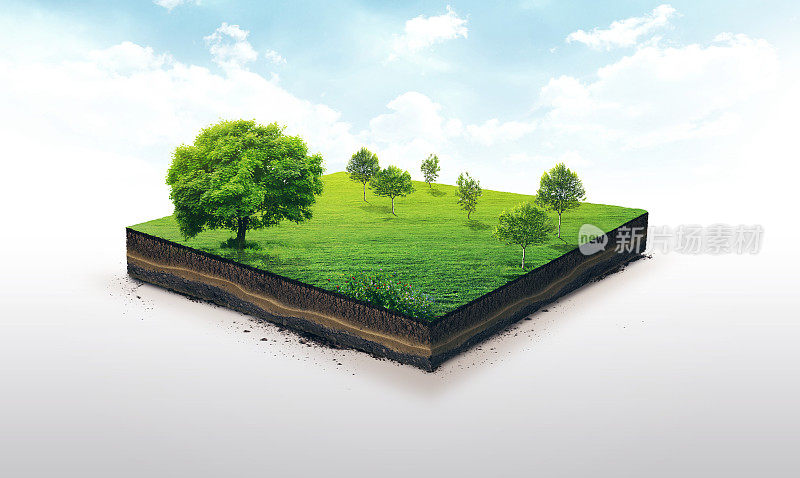 土壤切片的3d插图，绿色草地与树木孤立在白色