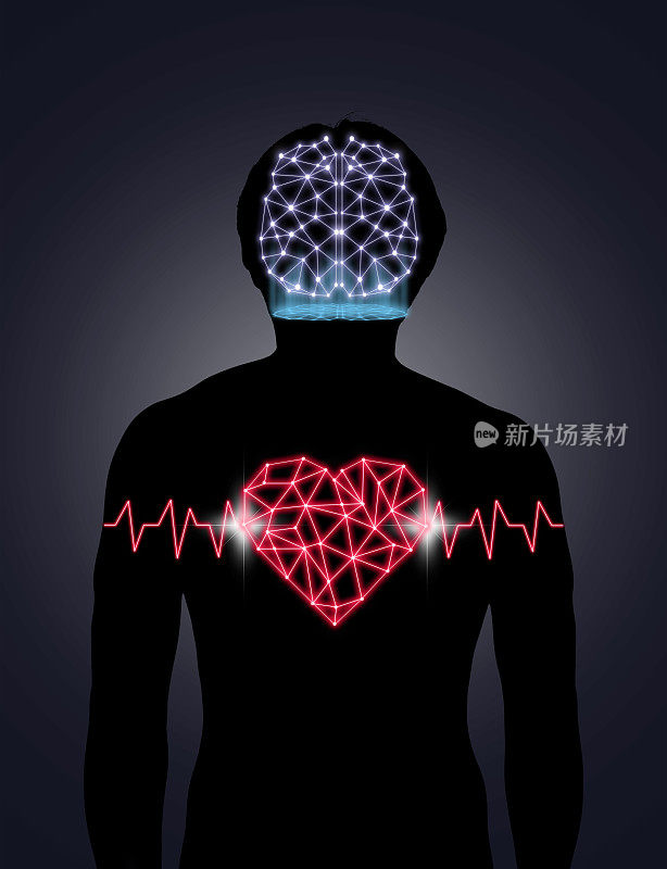 人体轮廓用技术线和多边形的脑和心的点，科学健康教育理念，医生技术与网络连接和科学健康理念
